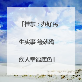 桂东：办好民生实事 绘就残疾人幸福底色