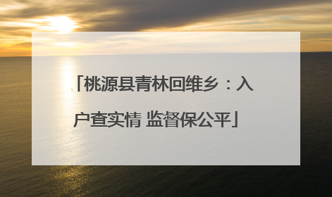 桃源县青林回维乡：入户查实情 监督保公平