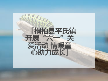 桐柏县平氏镇开展“六一”关爱活动 情暖童心助力成长
