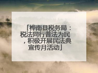 桦南县税务局：税法同行普法为民，积极开展民法典宣传月活动