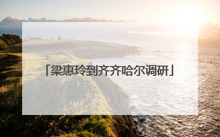 梁惠玲到齐齐哈尔调研