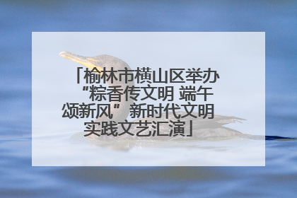 榆林市横山区举办“粽香传文明 端午颂新风”新时代文明实践文艺汇演