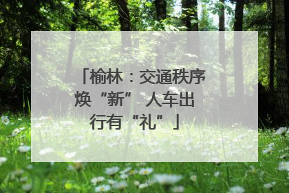 榆林：交通秩序焕“新” 人车出行有“礼”