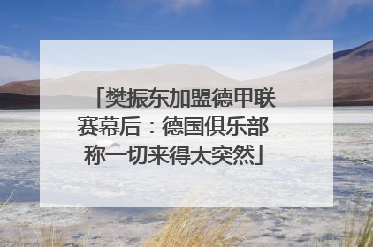 樊振东加盟德甲联赛幕后：德国俱乐部称一切来得太突然