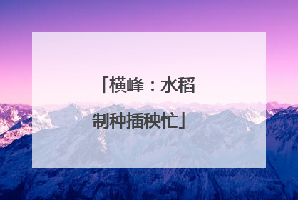 横峰：水稻制种插秧忙