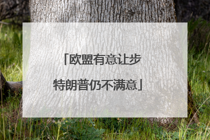 欧盟有意让步 特朗普仍不满意