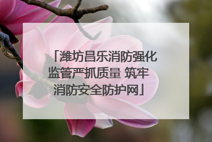潍坊昌乐消防强化监管严抓质量 筑牢消防安全防护网