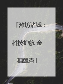 潍坊诸城：科技护航 金穗飘香