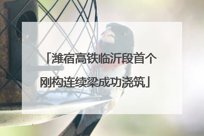 潍宿高铁临沂段首个刚构连续梁成功浇筑
