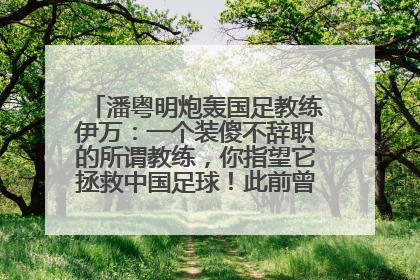 潘粤明炮轰国足教练伊万：一个装傻不辞职的所谓教练，你指望它拯救中国足球！此前曾多次发文评价国足