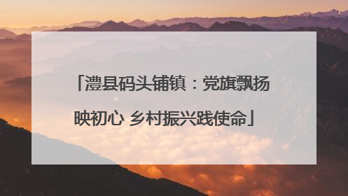 澧县码头铺镇：党旗飘扬映初心 乡村振兴践使命
