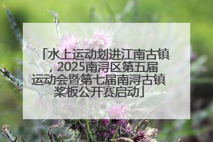 水上运动划进江南古镇，2025南浔区第五届运动会暨第七届南浔古镇桨板公开赛启动