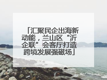 汇聚民企出海新动能，兰山区“沂企联”会客厅打造跨境发展强磁场
