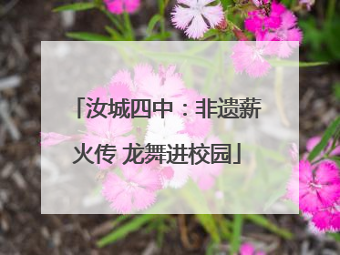 汝城四中：非遗薪火传 龙舞进校园