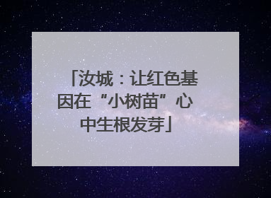 汝城：让红色基因在“小树苗”心中生根发芽