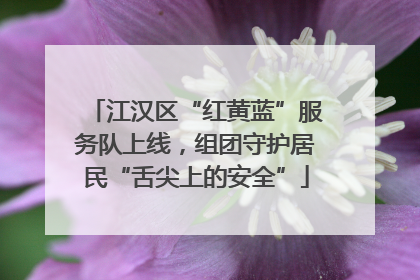 江汉区“红黄蓝”服务队上线，组团守护居民“舌尖上的安全”