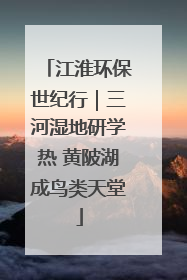 江淮环保世纪行｜三河湿地研学热 黄陂湖成鸟类天堂