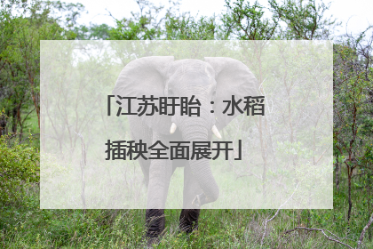 江苏盱眙：水稻插秧全面展开