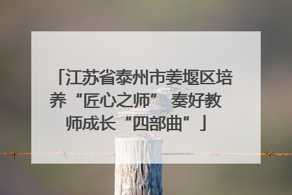 江苏省泰州市姜堰区培养“匠心之师” 奏好教师成长“四部曲”