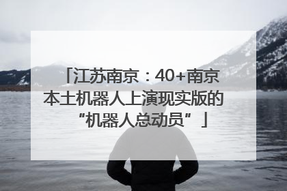 江苏南京：40+南京本土机器人上演现实版的“机器人总动员”