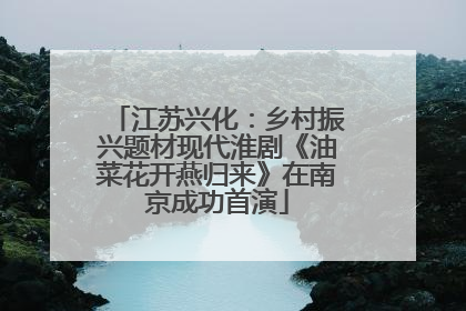江苏兴化：乡村振兴题材现代淮剧《油菜花开燕归来》在南京成功首演