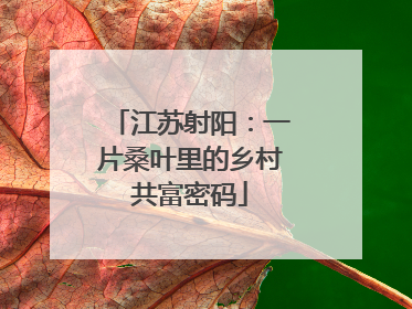 江苏射阳：一片桑叶里的乡村共富密码