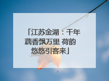 江苏金湖：千年藕香飘万里 荷韵悠悠引客来
