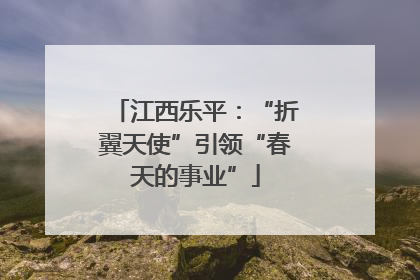 江西乐平：“折翼天使”引领“春天的事业”