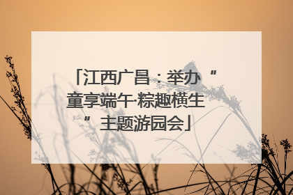 江西广昌：举办“童享端午·粽趣横生”主题游园会
