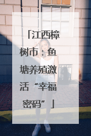 江西樟树市：鱼塘养殖激活“幸福密码”
