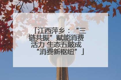 江西萍乡：“三链共振”赋能消费活力 生态五陂成“消费新枢纽”