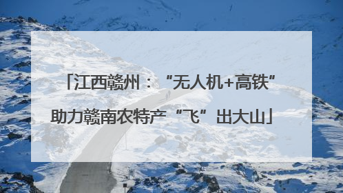 江西赣州：“无人机+高铁”助力赣南农特产“飞”出大山
