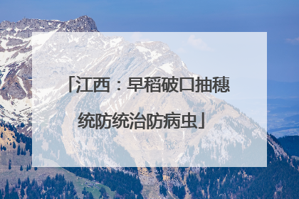 江西：早稻破口抽穗 统防统治防病虫