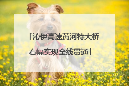 沁伊高速黄河特大桥右幅实现全线贯通
