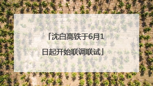 沈白高铁于6月1日起开始联调联试