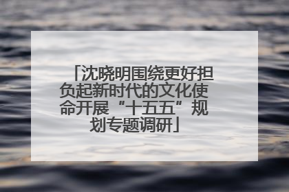沈晓明围绕更好担负起新时代的文化使命开展“十五五”规划专题调研