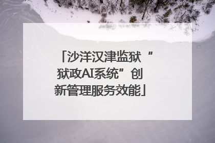 沙洋汉津监狱“狱政AI系统”创新管理服务效能
