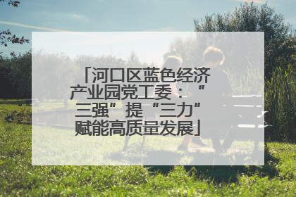 河口区蓝色经济产业园党工委：“三强”提“三力”赋能高质量发展