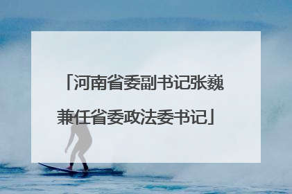 河南省委副书记张巍兼任省委政法委书记