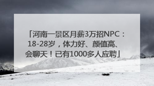 河南一景区月薪3万招NPC：18-28岁，体力好、颜值高、会聊天！已有1000多人应聘