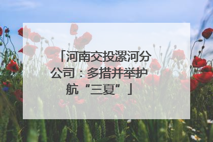 河南交投漯河分公司：多措并举护航“三夏”