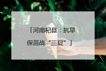 河南杞县：抗旱保苗战“三夏”