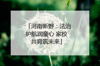 河南新野：法治护航润童心 家校共育筑未来