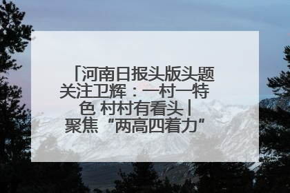 河南日报头版头题关注卫辉：一村一特色 村村有看头 ︳聚焦“两高四着力”·一“县”观察