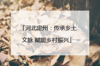 河北定州：传承乡土文脉 赋能乡村振兴