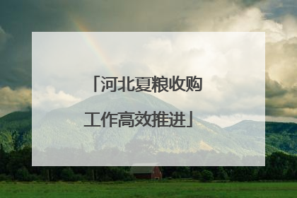河北夏粮收购工作高效推进
