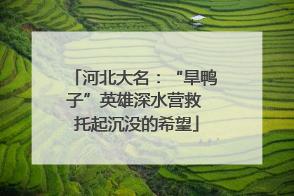 河北大名：“旱鸭子”英雄深水营救 托起沉没的希望