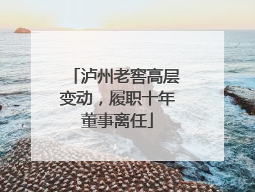 泸州老窖高层变动，履职十年董事离任