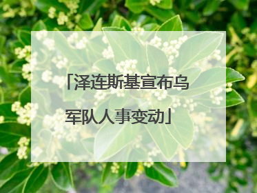 泽连斯基宣布乌军队人事变动