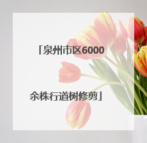 泉州市区6000余株行道树修剪